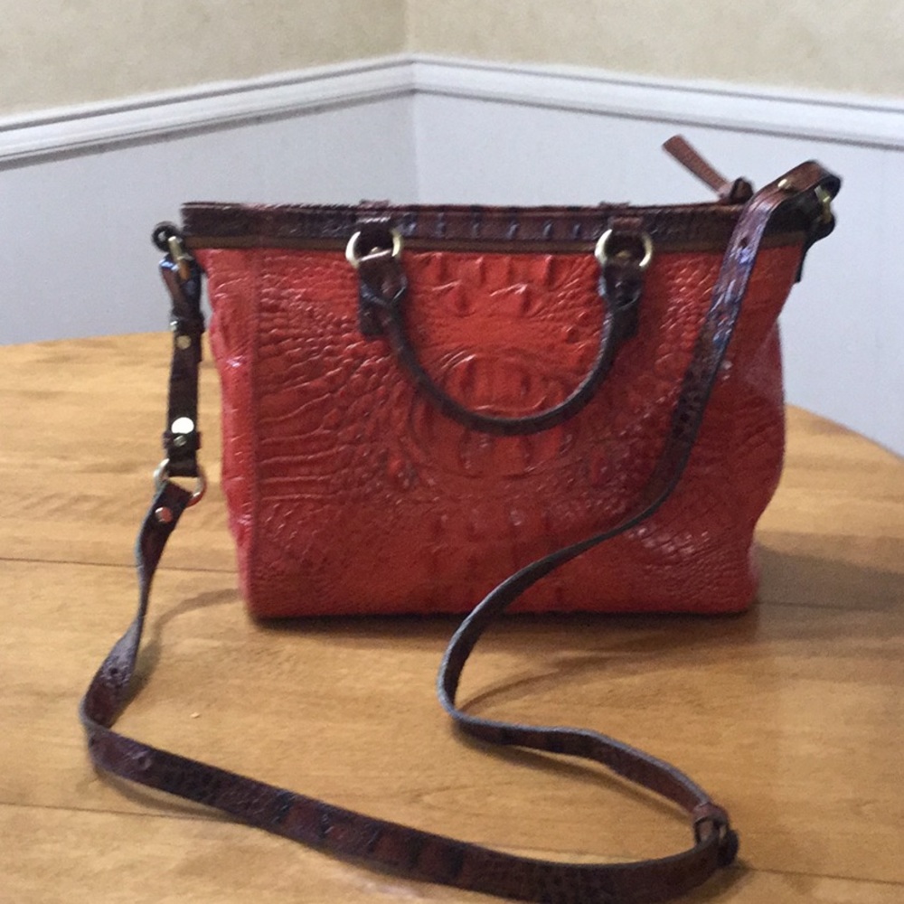 Brahmin mini Asher